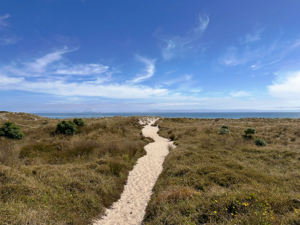 Sandy path through dunes leading to the sea under a wide blue sky